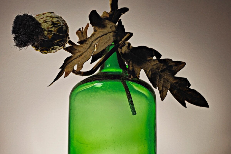 Green glass bottle with a dried thistle sprig resting on top