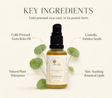Gotu Kola Oil by GraceYes — key ingredients, image 2