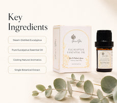Eucalyptus Essential Oil by GraceYes — key ingredients, image 2