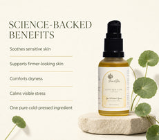 Gotu Kola Oil by GraceYes — benefits, image 3