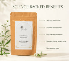 Bhringraj Powder by GraceYes — benefits, image 3