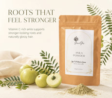 Amla Powder by GraceYes — Pure Amla Powder for Hair, 100 gm, image 1