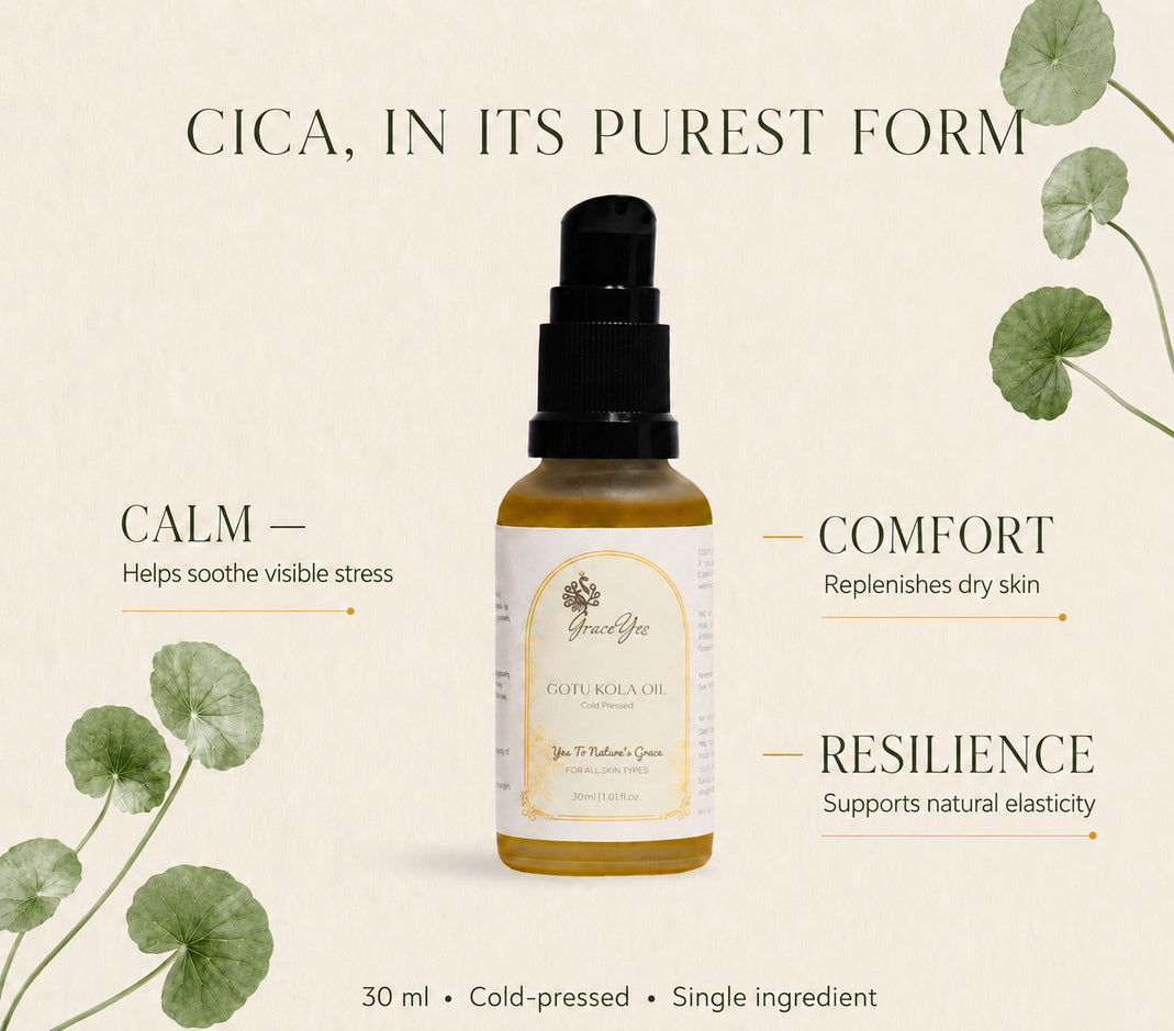 Gotu Kola Oil by GraceYes — Cold-Pressed Gotu Kola (Centella) Oil, 30 ml