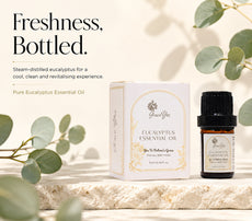 Eucalyptus Essential Oil by GraceYes — Pure, Steam-Distilled, 5 ml, image 1