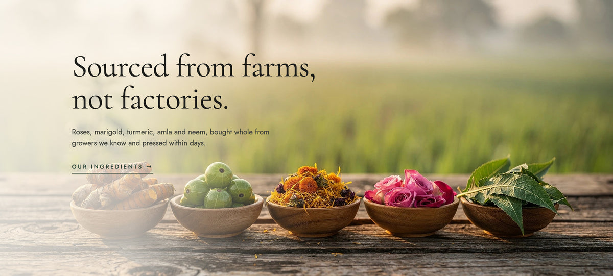 Roses, marigold, turmeric, amla and neem at the farm — sourced from farms, not factories